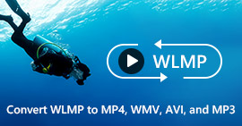 Convert WLMP to WMV